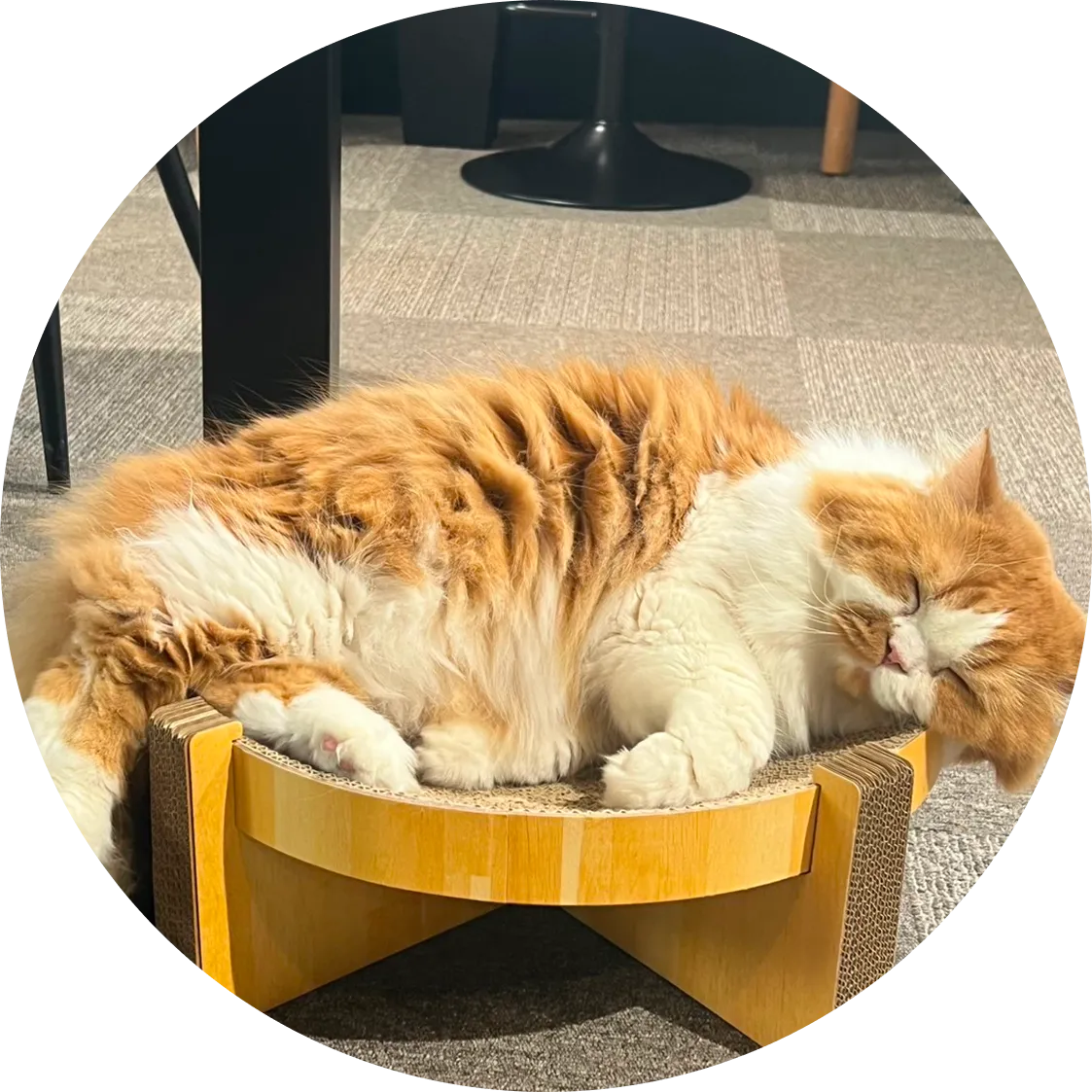 くつろげる空間