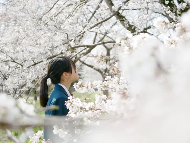 高校卒業まで見据えた一貫サポート